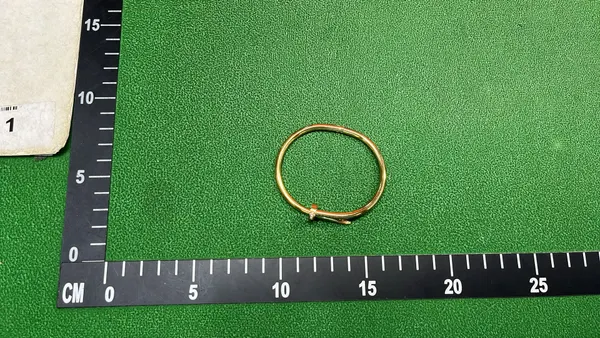 Rose Gold Nail-Shaped Bangle Bracelet — warehouse QC photo 4