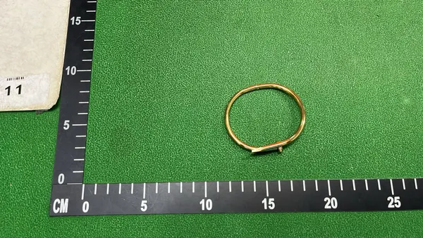 Rose Gold Nail-Shaped Bangle Bracelet — warehouse QC photo 6