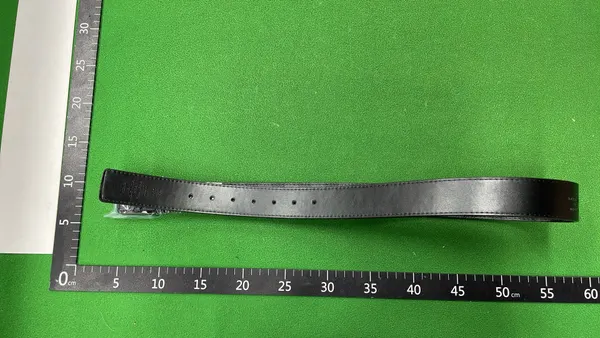 Brown Checkerboard Print Belt With Silver Buckle — warehouse QC photo 2