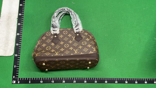 Brown Checkerboard Dome Handbag With Top Handles — warehouse QC photo 1
