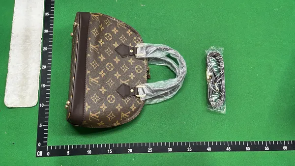 Brown Checkerboard Dome Handbag With Top Handles — warehouse QC photo 3