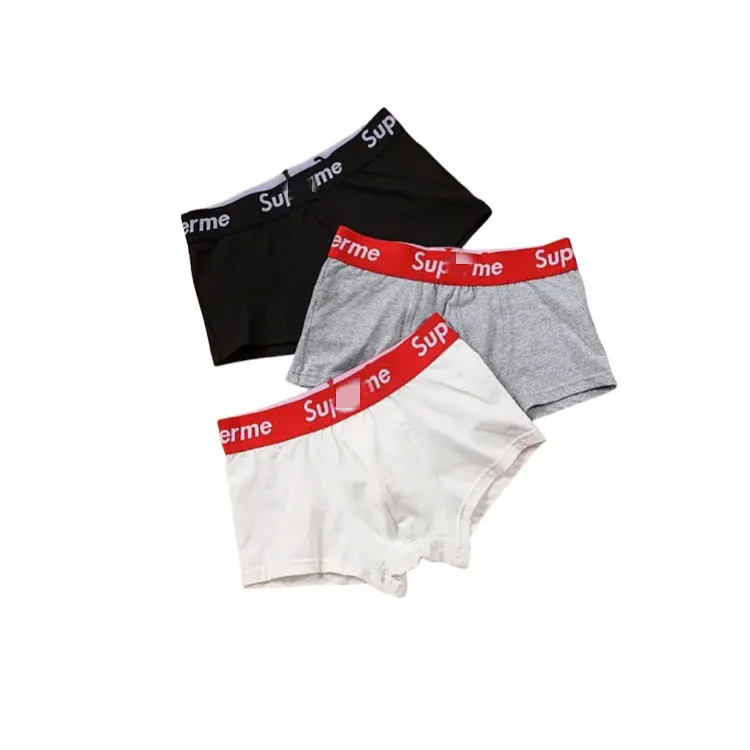 Cotton Boxer Briefs With Elastic Logo Waistband — merchant catalogue photo