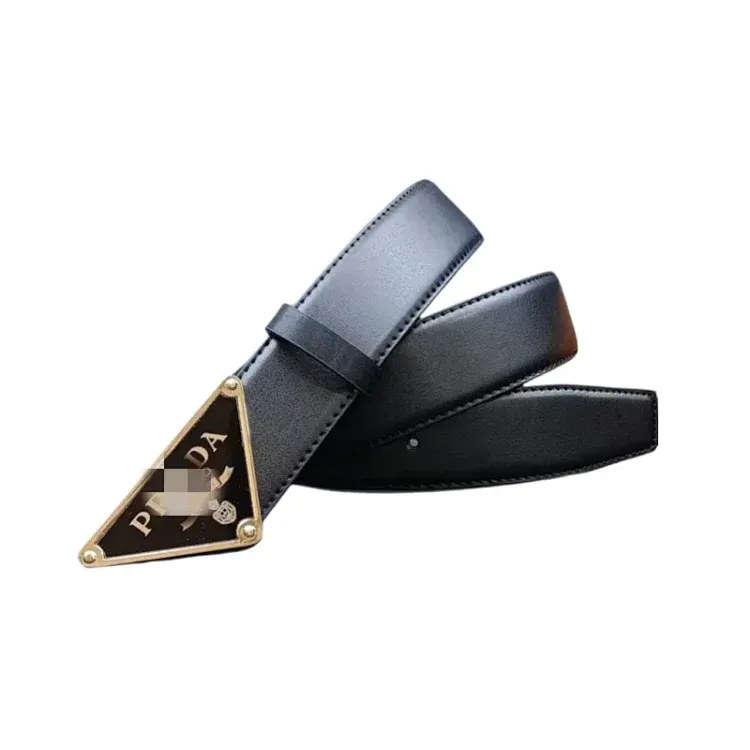 Black Belt With Gold Triangle Plaque Buckle — merchant catalogue photo