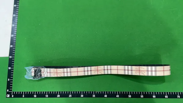 Beige Check Plaid Belt With Gold Buckle — warehouse QC photo 1