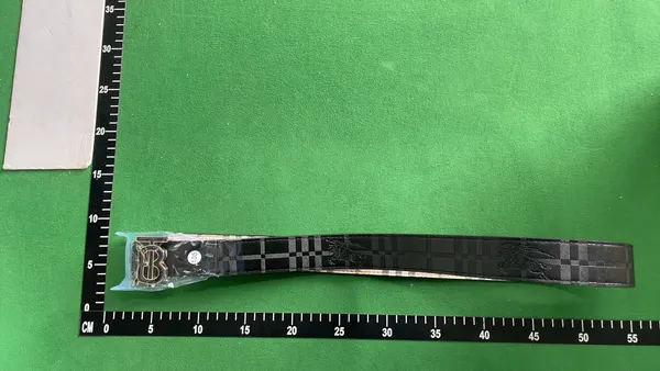 Beige Check Plaid Belt With Gold Buckle — warehouse QC photo 4