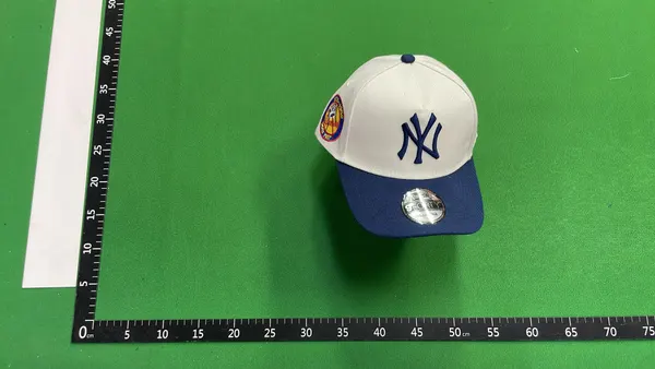 Cream Two Tone Cap With Embroidered Bird Graphic (#2) — warehouse QC photo 1