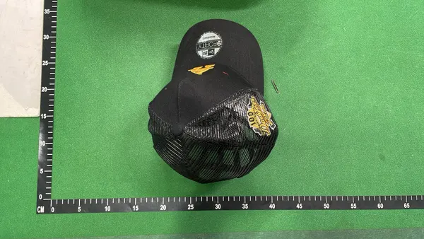 Cream Two Tone Cap With Embroidered Bird Graphic (#2) — warehouse QC photo 5