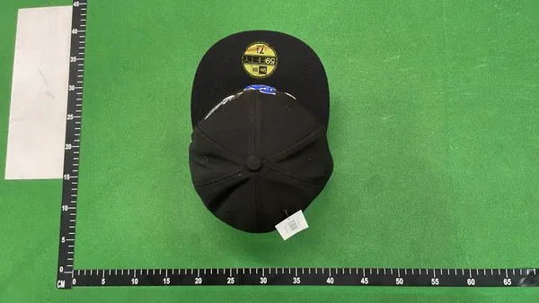Royal Blue Fitted Cap With Embroidered Bird Graphic — warehouse QC photo 2