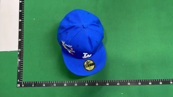 Royal Blue Fitted Cap With Embroidered Bird Graphic — warehouse QC photo 4