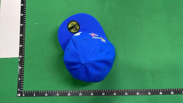 Royal Blue Fitted Cap With Embroidered Bird Graphic — warehouse QC photo 5