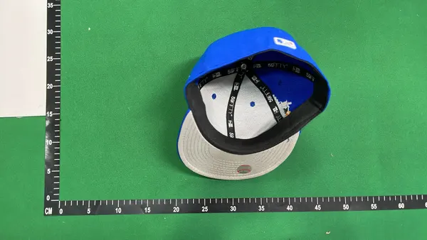 Royal Blue Fitted Cap With Embroidered Bird Graphic — warehouse QC photo 6