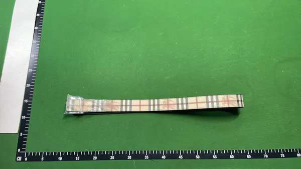 Beige Check Pattern Belt With Silver Buckle — warehouse QC photo 1