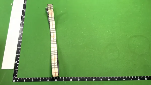 Beige Check Pattern Belt With Silver Buckle — warehouse QC photo 3