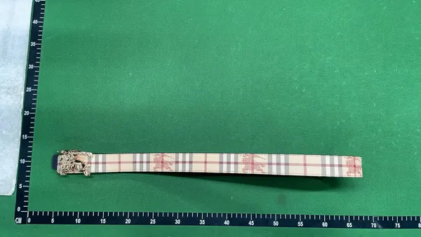 Beige Check Pattern Belt With Silver Buckle — warehouse QC photo 4