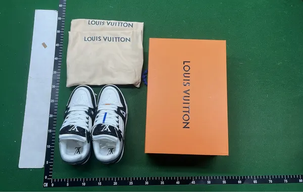 Monogram Panel Low-Top Skate Sneakers (#2) — warehouse QC photo 1