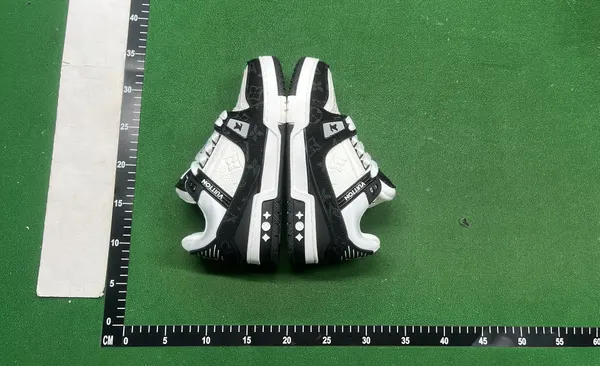 Monogram Panel Low-Top Skate Sneakers (#2) — warehouse QC photo 5