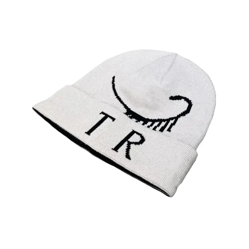 Black Jacquard Knit Cuffed Beanie (Grey) — merchant catalogue photo