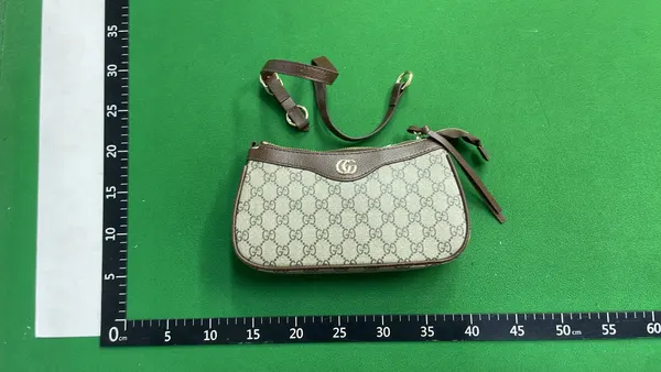 Beige Monogram Canvas Half-Moon Shoulder Bag — warehouse QC photo 1